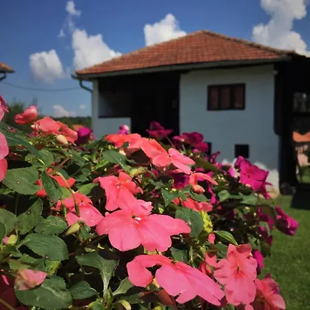 Holiday home Etno Kuca - Rakic *