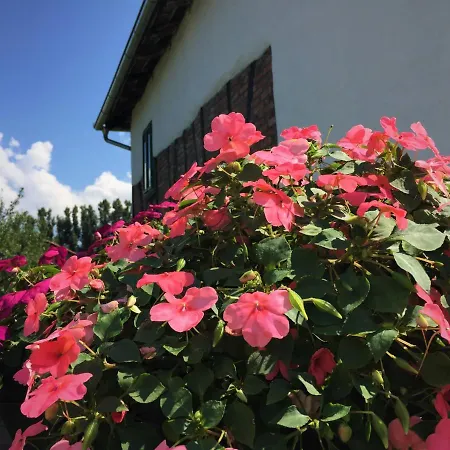 Holiday home Etno Kuca - Rakic