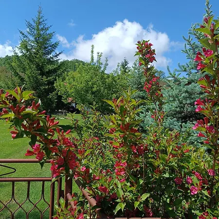 Holiday home Etno Kuca - Rakic *